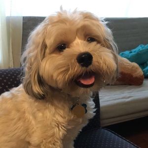 Meet your Posher, Sally